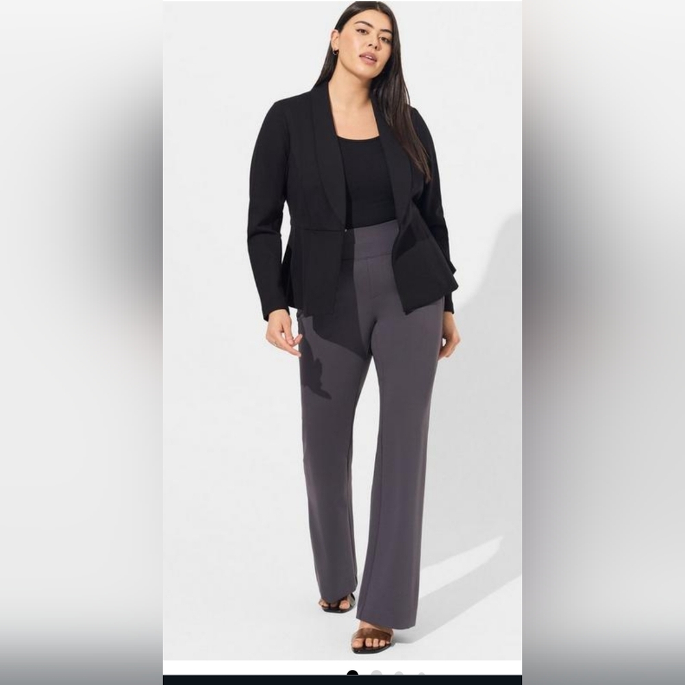 Torrid Gray Pants